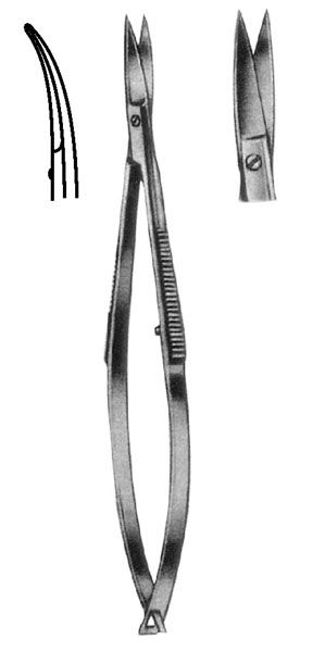 Surgical Scissors 